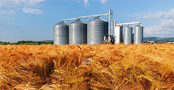 MVE-SS食品行業(yè)專用不銹鋼振動電機